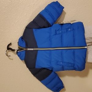 XTREME 12M Blue Puffer Coat